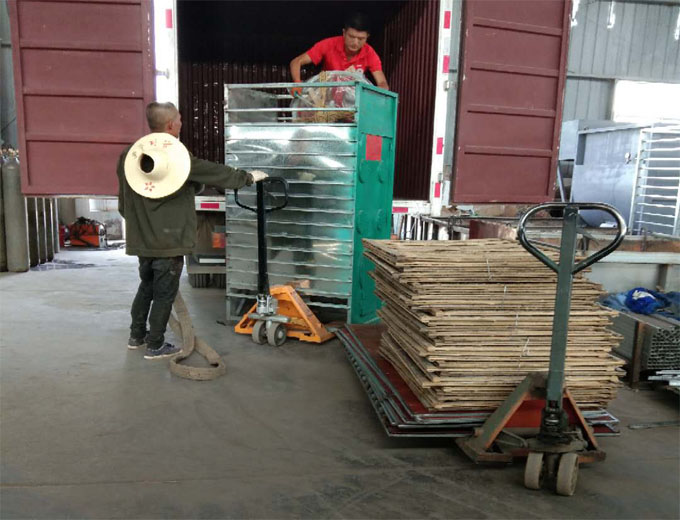 食用菌采收技能你知道多少？逸村機(jī)械為您盤(pán)點(diǎn)整合