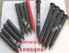 食用菌接種插簽的規(guī)格與使用