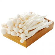 秋冬季節(jié) 吃什么菇好呢